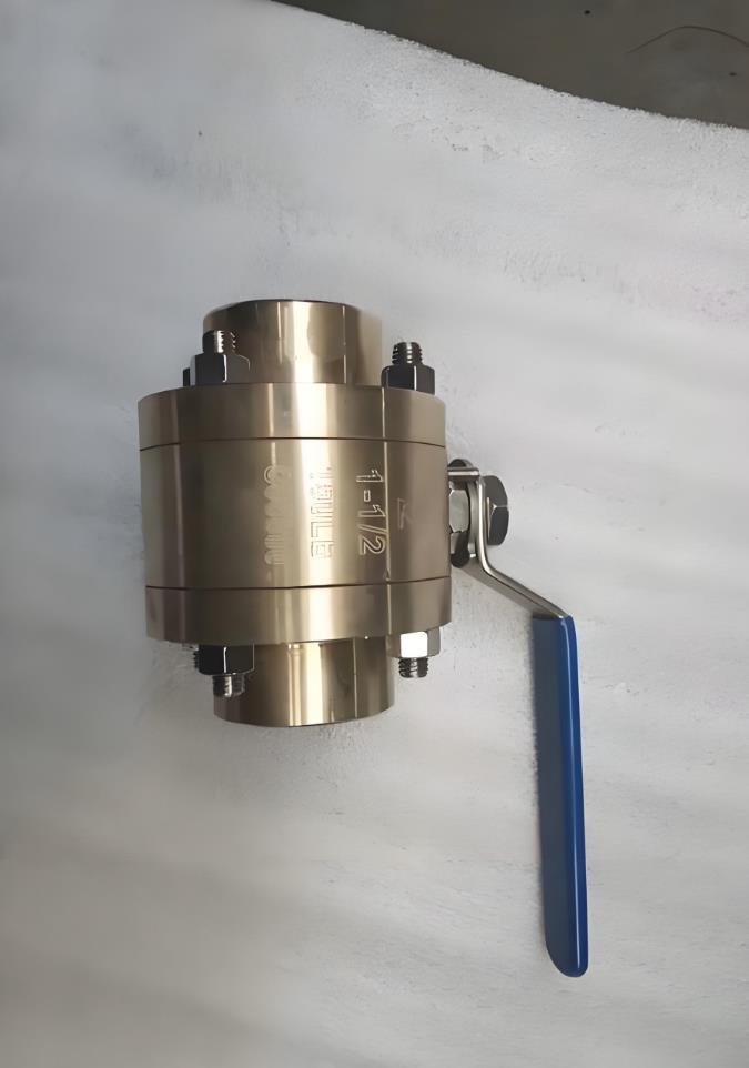 Q61F/N/Y�������y